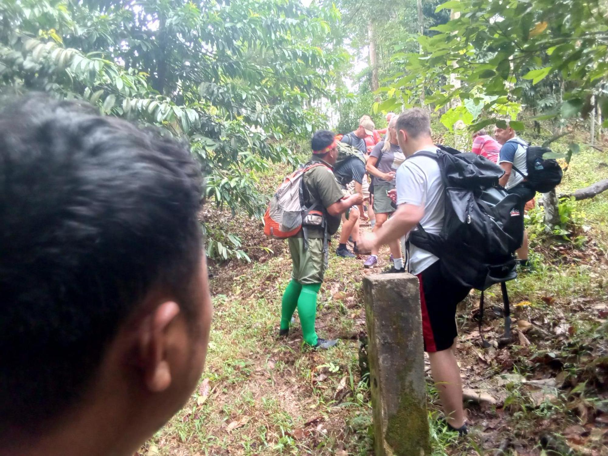 Jungle Treking & Jungle Tour If You Want To Stay Here,You Must Book Treking Only With Us Bukit Lawang Exterior foto