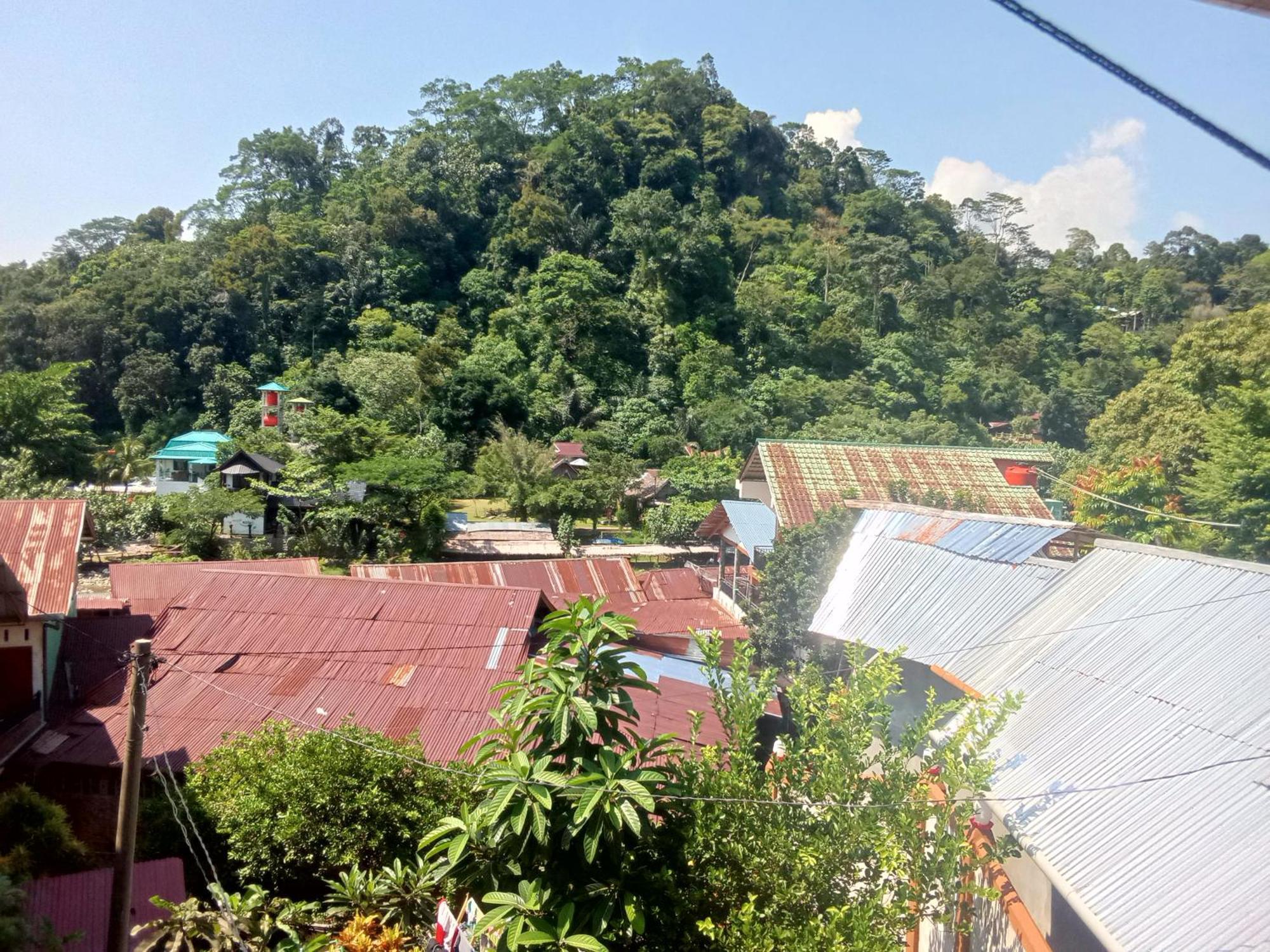 Jungle Treking & Jungle Tour If You Want To Stay Here,You Must Book Treking Only With Us Bukit Lawang Exterior foto