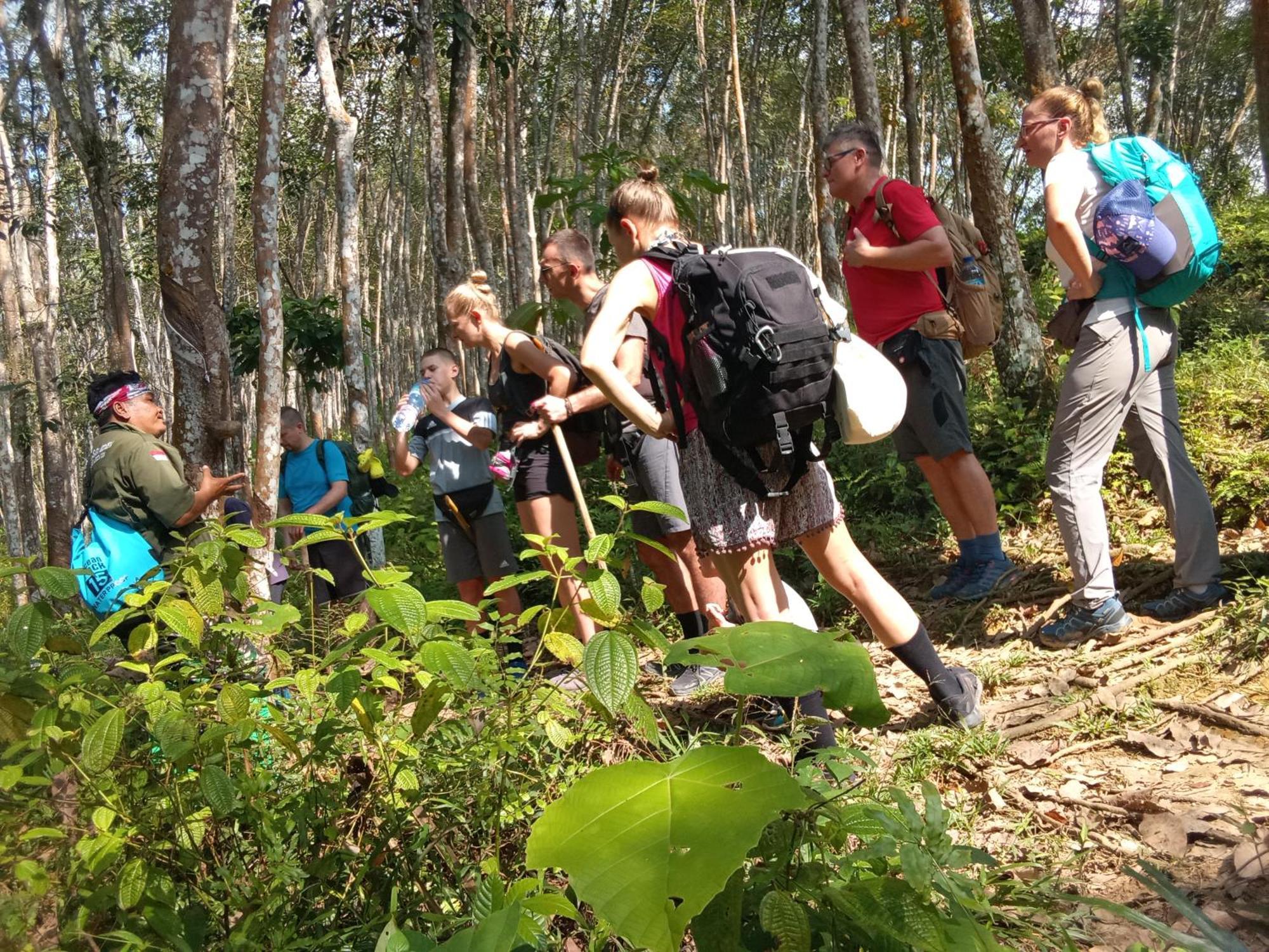 Jungle Treking & Jungle Tour If You Want To Stay Here,You Must Book Treking Only With Us Bukit Lawang Exterior foto